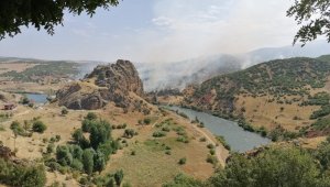 Elazığ'da ki orman yangını söndürüldü, 150 dönüm alan zarar gördü