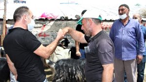 Kurban Pazarında 3'üncü gün yoğunluğu