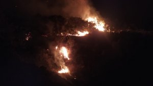 Elazığ'daki orman yangını 30 saatte kontrol altına alındı