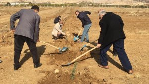 Baskil MYO kampüsüne 2 bin 160 fidan dikildi