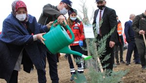 Elazığ'da 223 bin fidan toprakla buluşuyor, ilk fidanlar dikildi