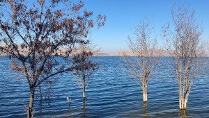 Depremin merkezindeki hazar gölündeki yükselme dikkat çekti