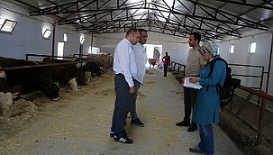 Kırsalı Kalkındırmaya Yönelik Proje Yap, TKDK'dan Desteği Kap