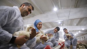 Aldığı destekle çiftlik sahibi oldu, şimdi ailece çalışıyorlar