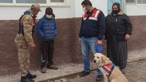 Kayıp çocuğu 6 saat sonra iz takip köpeği buldu