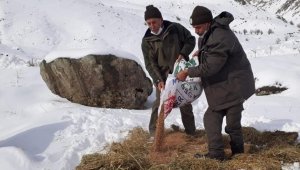 Elazığ'da hayvanları için doğaya 1,5 ton yem bırakıldı