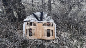 Elazığ'da avlaklarda denetim, keklikler ele geçirildi bir meteris yıkıldı