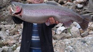 Türkiye ve Avrupa'nın en büyük alabalığı Elazığ'da olta ile yakalandı, tam 115 santim