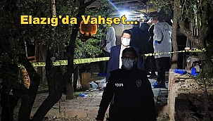 Genç kadın barakada sevgilisi tarafından öldürüldü