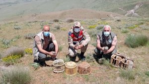 Elazığ'da kaçak avda yakalanan 3 şahsa işlem yapıldı