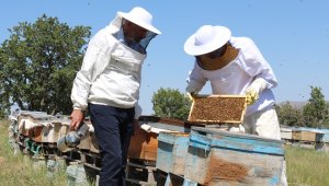 Arıcılar son 10 yılın en kötü sezonunu yaşıyor