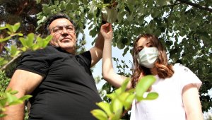 Ormancı babadan örnek uygulama