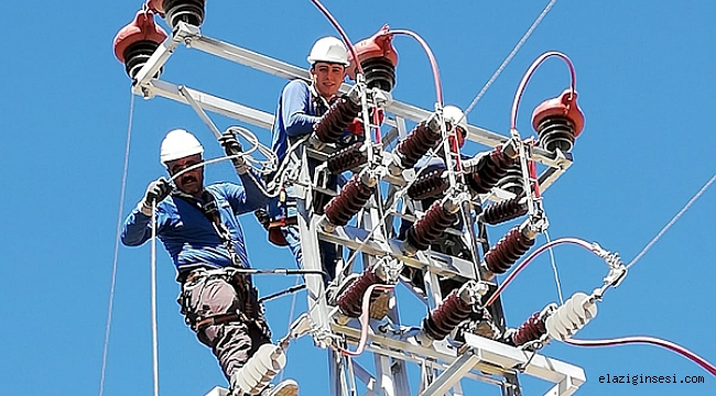 Fırat Edaş'ın 'Özgür Kuşlar' Projesiyle Göçmen Kuşlar Güvende