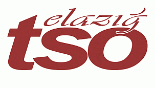 Gıda sektörü ve kümesine yönelik 