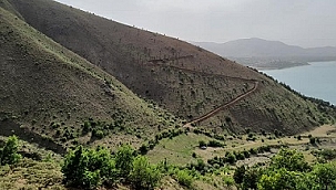 Hazar Gölü kıyısında ağaçlandırma çalışmaları başladı