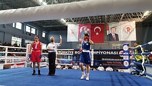 Boksörlerimizden büyük başarı