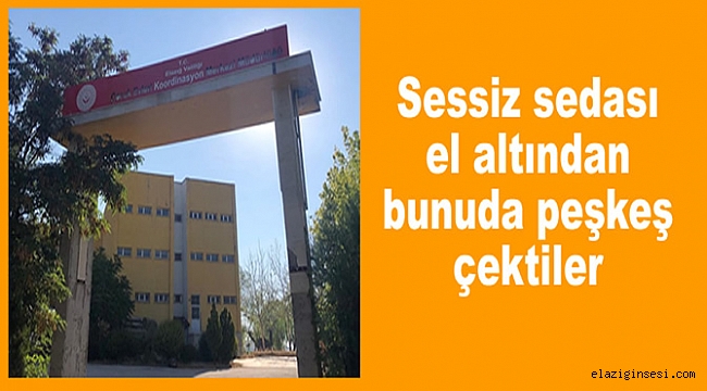 Bu kadarına da pes doğrusu…