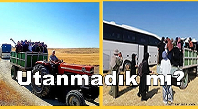 Elazığ'da turizm bu anlayışla mı gelişecek…!