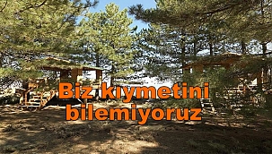 Macera Parkı ve Zipline Parkuru Tesisi çürüyor