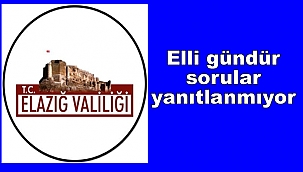 Sorular çok zor değildi…