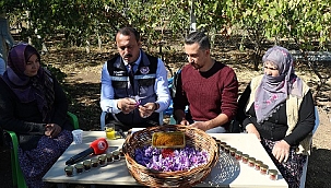 İlimizde Safran bitki hasadı gerçekleştirildi