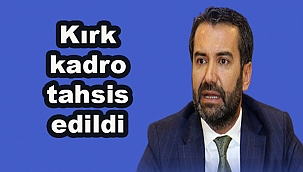Ak Parti teşkilatında 40 kontenjan nasıl dağıtılacak ? 