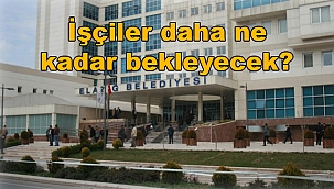Başkan vicdanın sızlamıyor mu...!