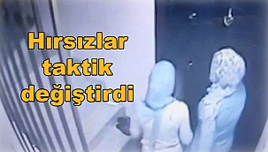 Hırsızlar,