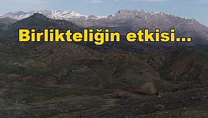 İhale bir kez daha ertelendi