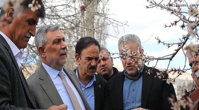 Baskil'de kayısı üreticileriyle görüştü