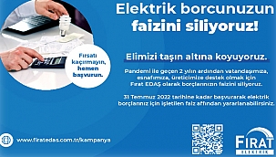 Birikmiş elektrik borçlarına faiz affı geliyor