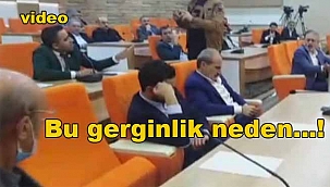 Camiye karşı değil sözü Ak Partili üyeyi çıldırttı