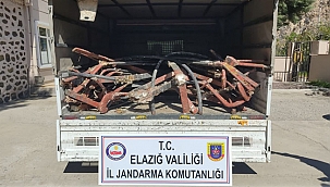 Hırsızlara Nefes Aldırmıyor