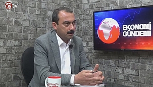 Geçen yıl iş alan üyelerimizin hepsi zararda 