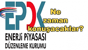 Dört STK neden suskun kaldı…! 