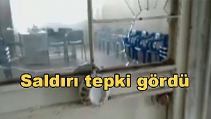 İYİ Partiye saldırı