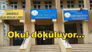 Tepeden Tırnağa Hasar…!