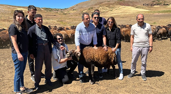 Elâzığ İlinde uygulanan 5 alt proje incelendi