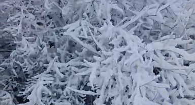 Elazığ Baskil'de Kar Yağışı Etkili Oldu