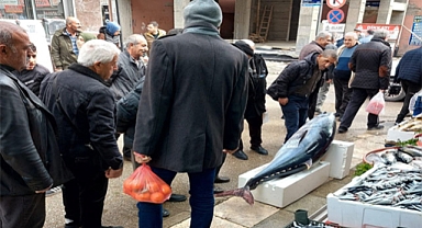 Elazığ'da 1 Metre 74 Santimetrelik Orkinos İlgi Gördü