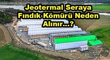 Elazığ'da Jeotermal Seraya Fındık Kömürü Neden Alınır…?