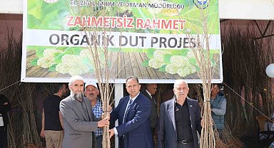 Elazığ'da Üreticilere Bin 400 Adet Dut Fidanı Dağıtıldı