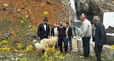 Belediye başkanı köpek kurtarma operasyonuna katıldı