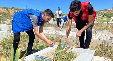 Elazığ'da gönüllü gençler kimsesizler mezarlığını temizlledi
