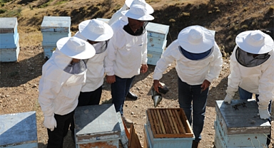 Elazığ'da Geven balı hasadı başladı