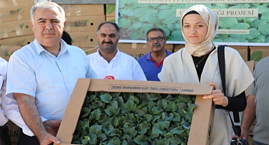 TAKE Projesi kapsamında üreticilere fide desteği sağlandı