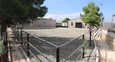 Elazığ İl Jandarma Komutanlığı Poyraz at harası hazır