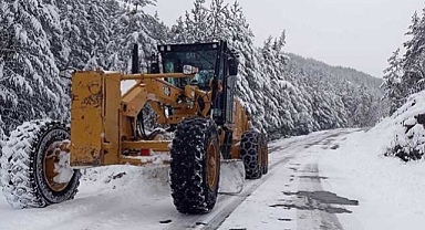 Kar yağışı 5 köy yolunu ulaşıma kapattı