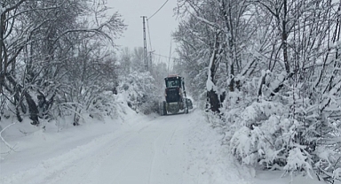  Kar, 172 köy yolunu ulaşıma kapadı