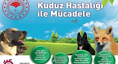 Kuduzla mücadelede havadan aşılama başladı